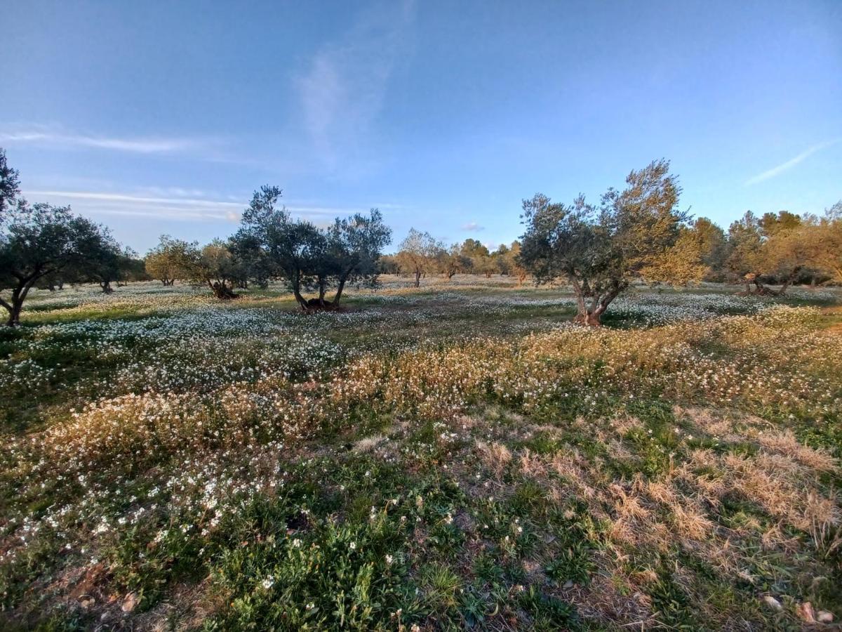 3Natura Avinyonet de Puigventós Exterior foto